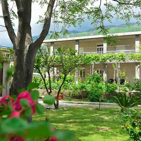 Apartmani Mihovic - Jaz Μπούντβα Εξωτερικό φωτογραφία